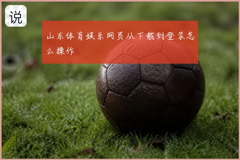山东体育娱乐网页从下载到登录怎么操作